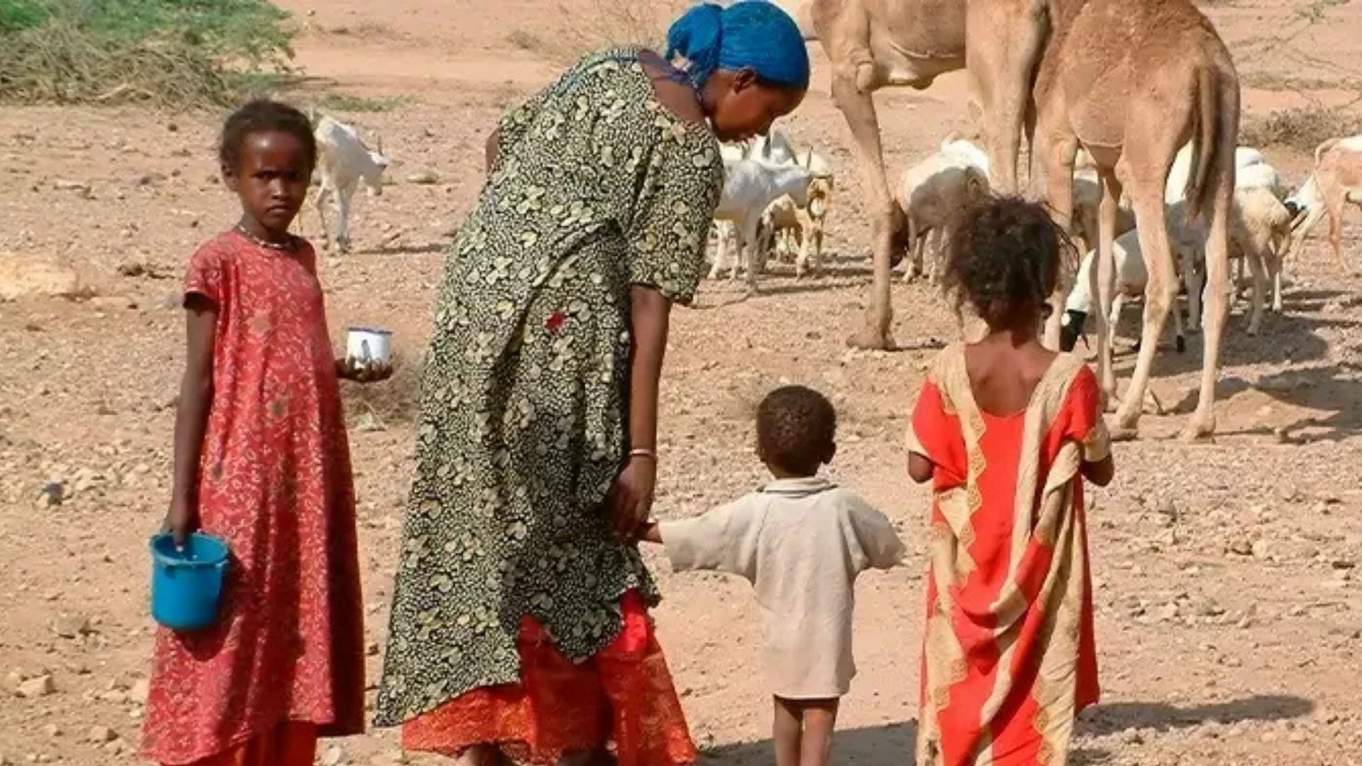 Foto del pais misionero